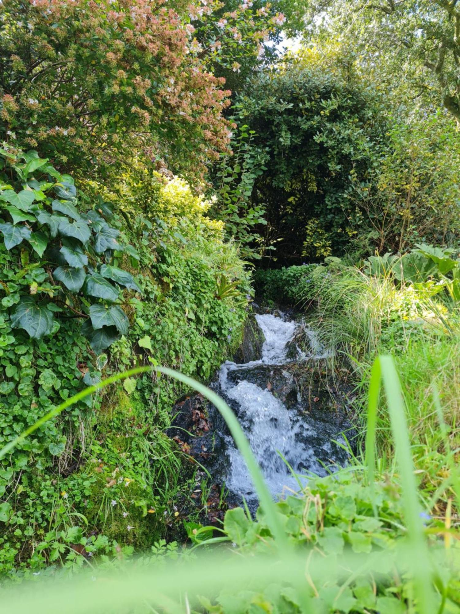 Villa Moulin De Bonnescat Plogonnec Esterno foto
